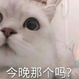 大豆大豆