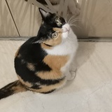 Gloria