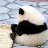 起·个·名·好·难