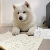 小马过河