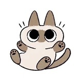 棕色脂肪发热