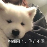 人生大吉🌴