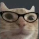 小住