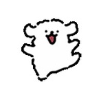 豆友239297247