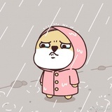 西西果果