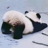 暮色
