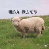 珍珠