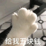 踩在浪花上.