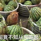 嘎嘎嘎