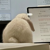 小兔爱看书