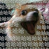 万得佛