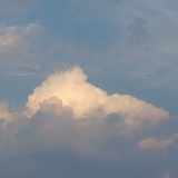 月野氿桃⸝*