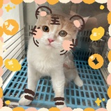仙女是我哈