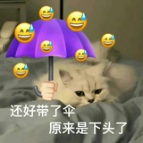 荷塘月色