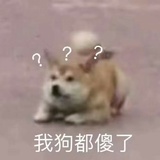 又在干什么