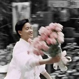 白茶清欢