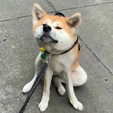 诺言谎言