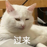 姓于名赵百灵