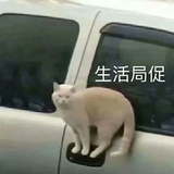 嘻嘻