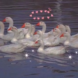 绊倒铁盒：）