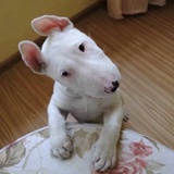 在忙，勿扰