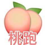 在桃椰壳蟹