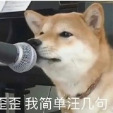 葵花派北长老