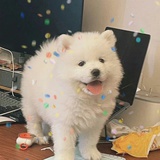 挺想见你