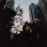 想念春天