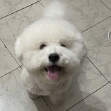 擂椒皮蛋