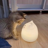 SAN值狂掉