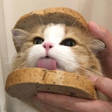 面包西