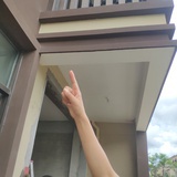 紫颜lan
