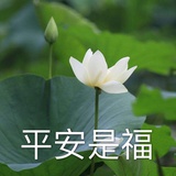 留言板（已黑化