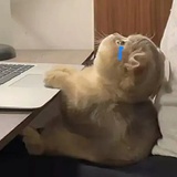 血压上来了