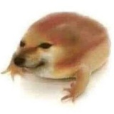 因为困所以睡觉