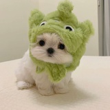 甜肠大王