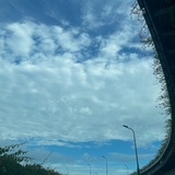 TH睡大觉