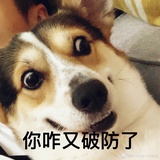 INTO1-苏杰