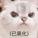 猫（已黑化