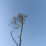 东东