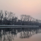 一块瓷片