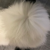 叶啊叶