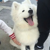 小闪