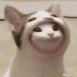 贝酷贝酷