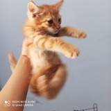 今天天气不错