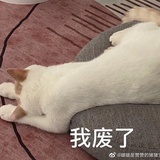 小敏小傲娇
