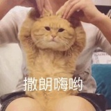 想你的云