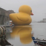单瓜