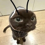 笑什么笑